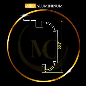 پروفیل روکوب 50